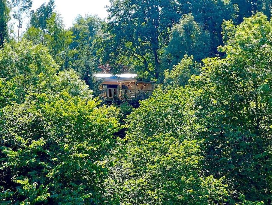 The Pines Treehouse At Treetops Hideouts Richmond  Buitenkant foto